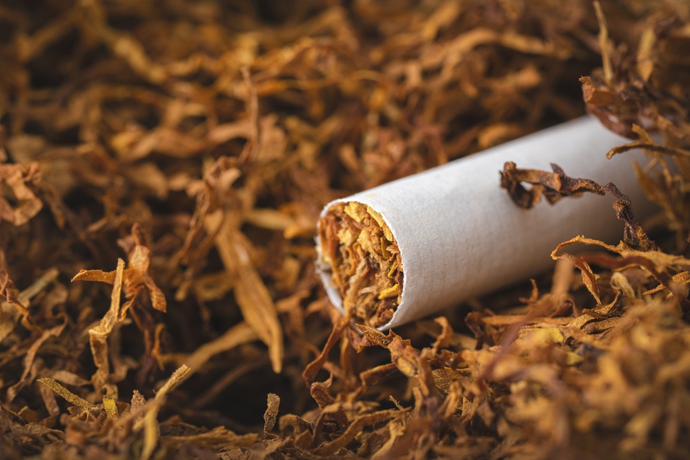 oms:-“l’industria-del-tabacco-paghi-per-l’inquinamento-che-genera”
